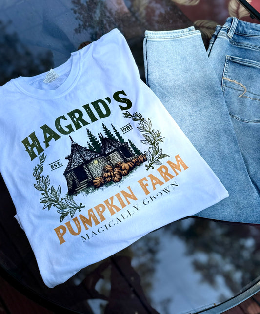 Hagrid’s Pumpkin Farm